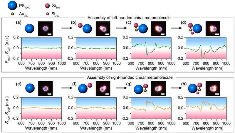 FIGURE 4.