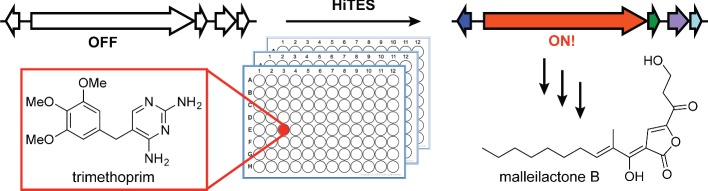 Figure 5.