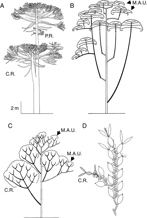 Fig. 23.