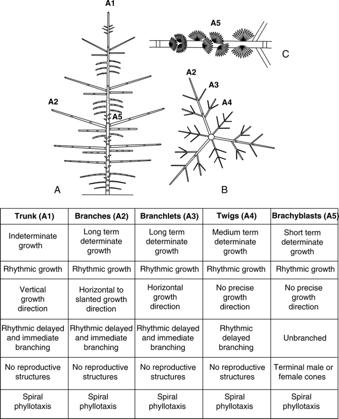 Fig. 17.