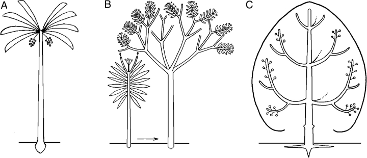 Fig. 16.