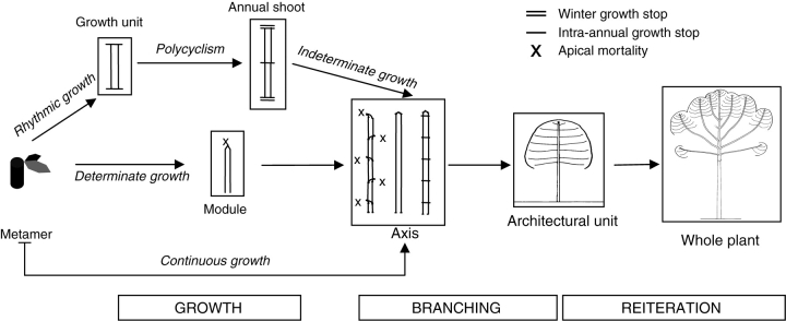 Fig. 28.