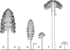 F<sc>ig</sc>. 22.