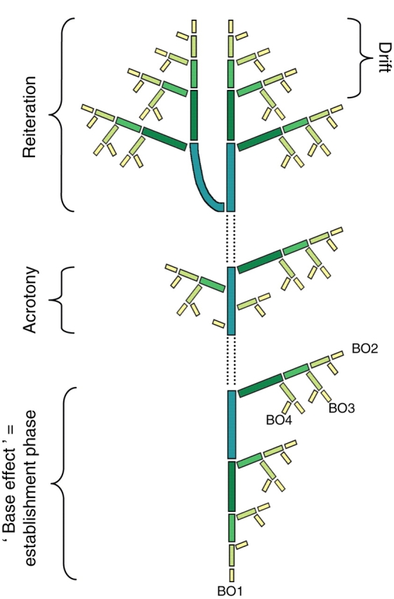 Fig. 30.