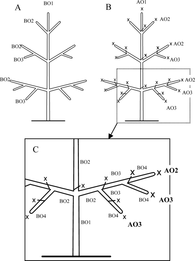 Fig. 10.