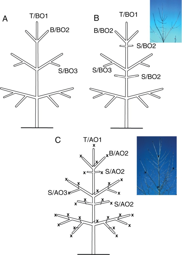 Fig. 18.