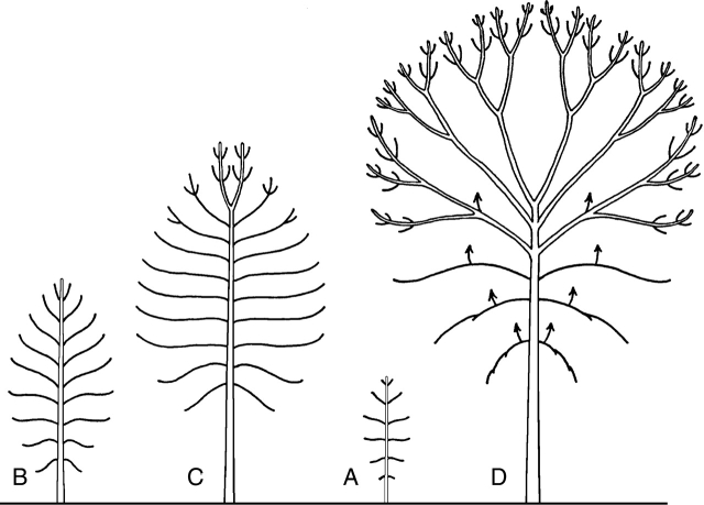 Fig. 26.