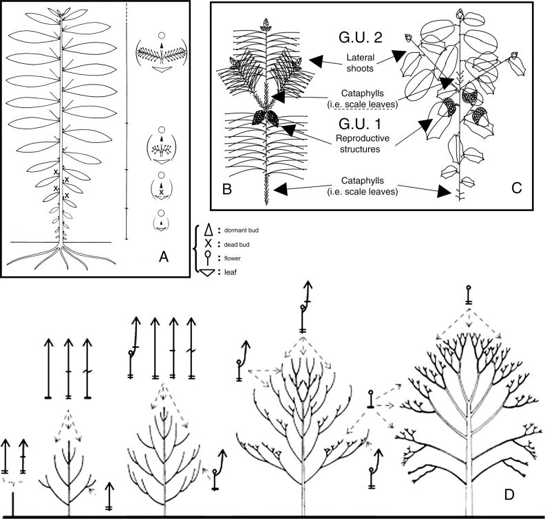 Fig. 29.