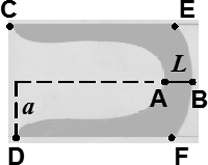 FIG. 2.