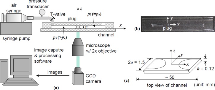 FIG. 1.