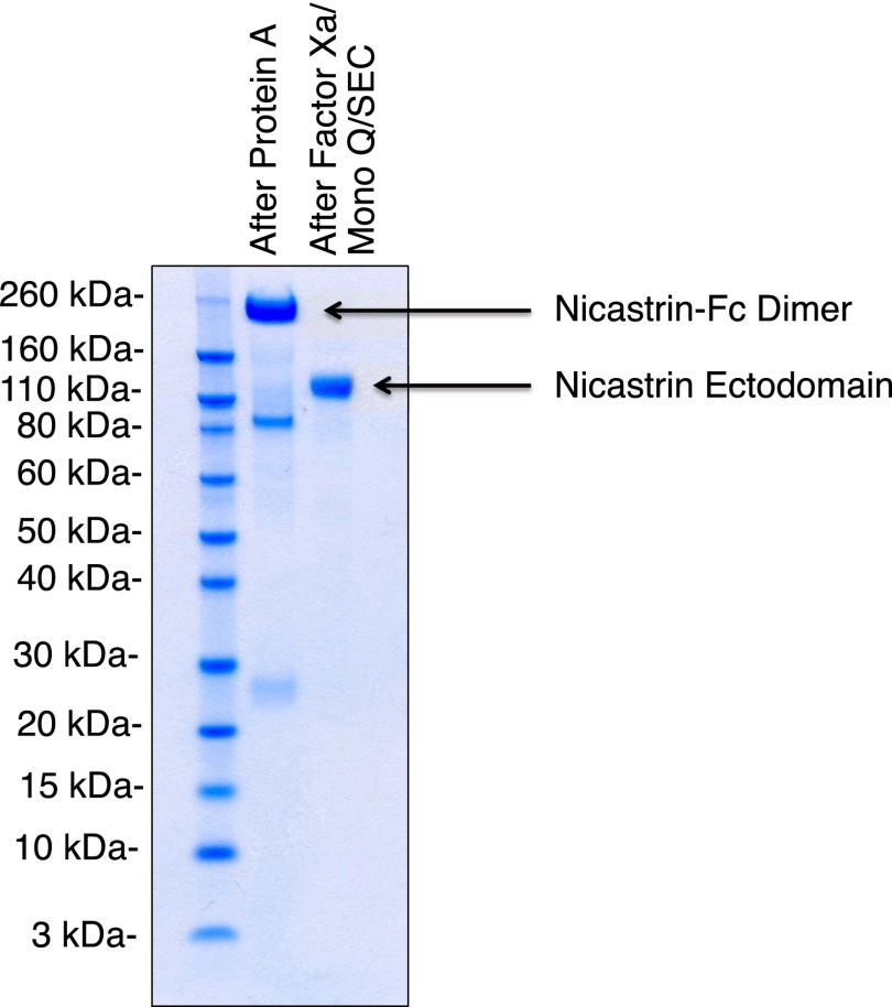 Fig. S7.