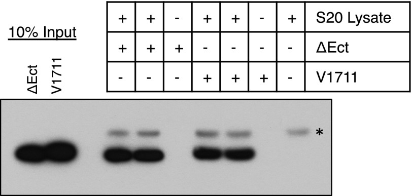 Fig. S4.