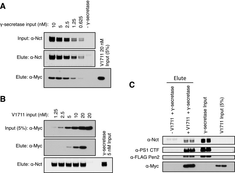 Fig. S3.