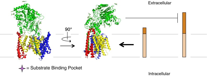 Fig. 6.