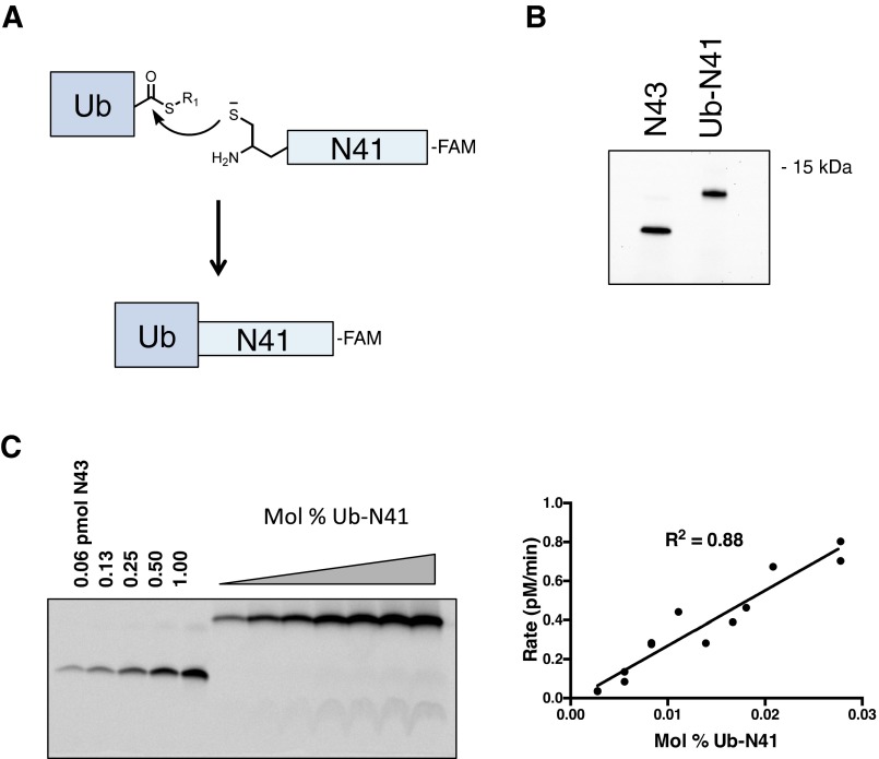 Fig. S5.