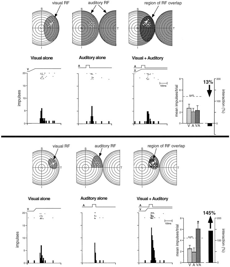 Fig. 10.