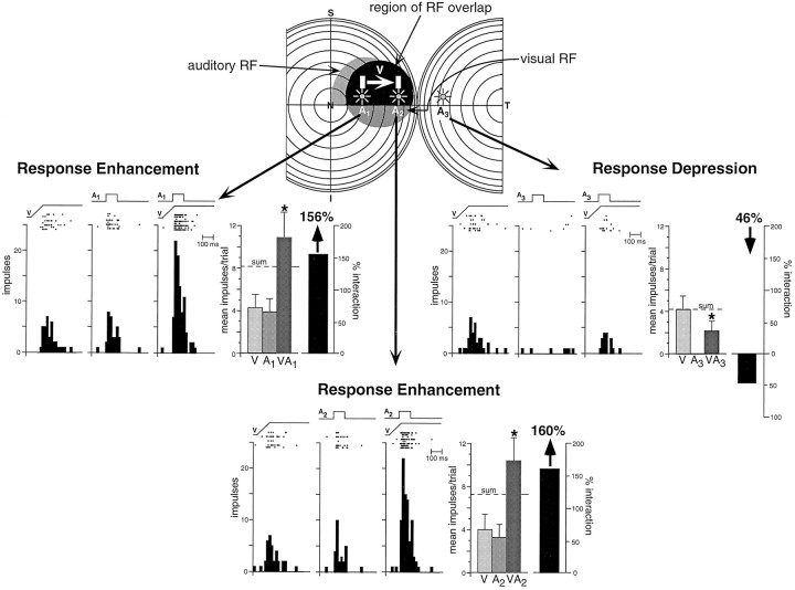 Fig. 12.