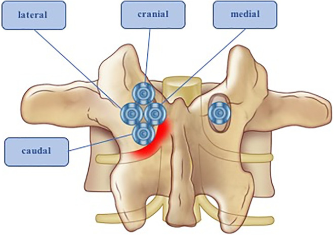 Figure 5.