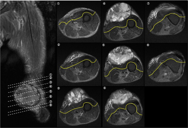 Fig. 3