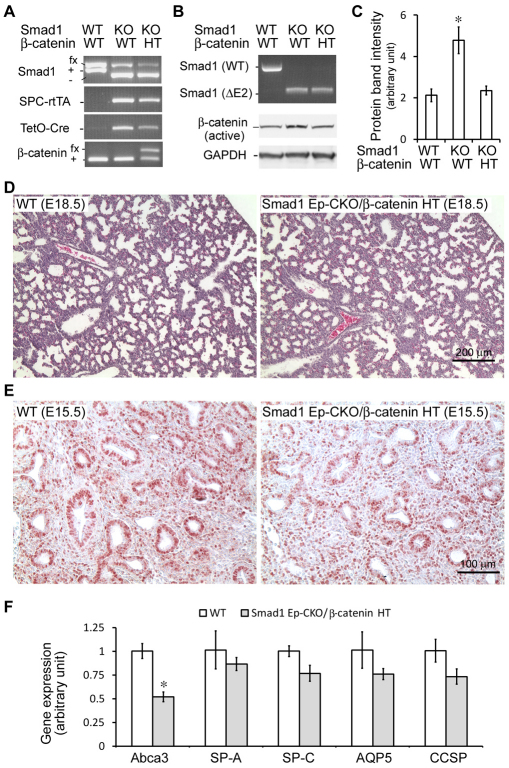 Fig. 8.