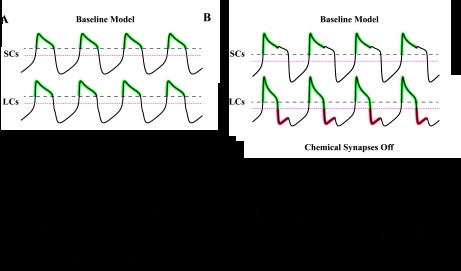 Fig. 9.