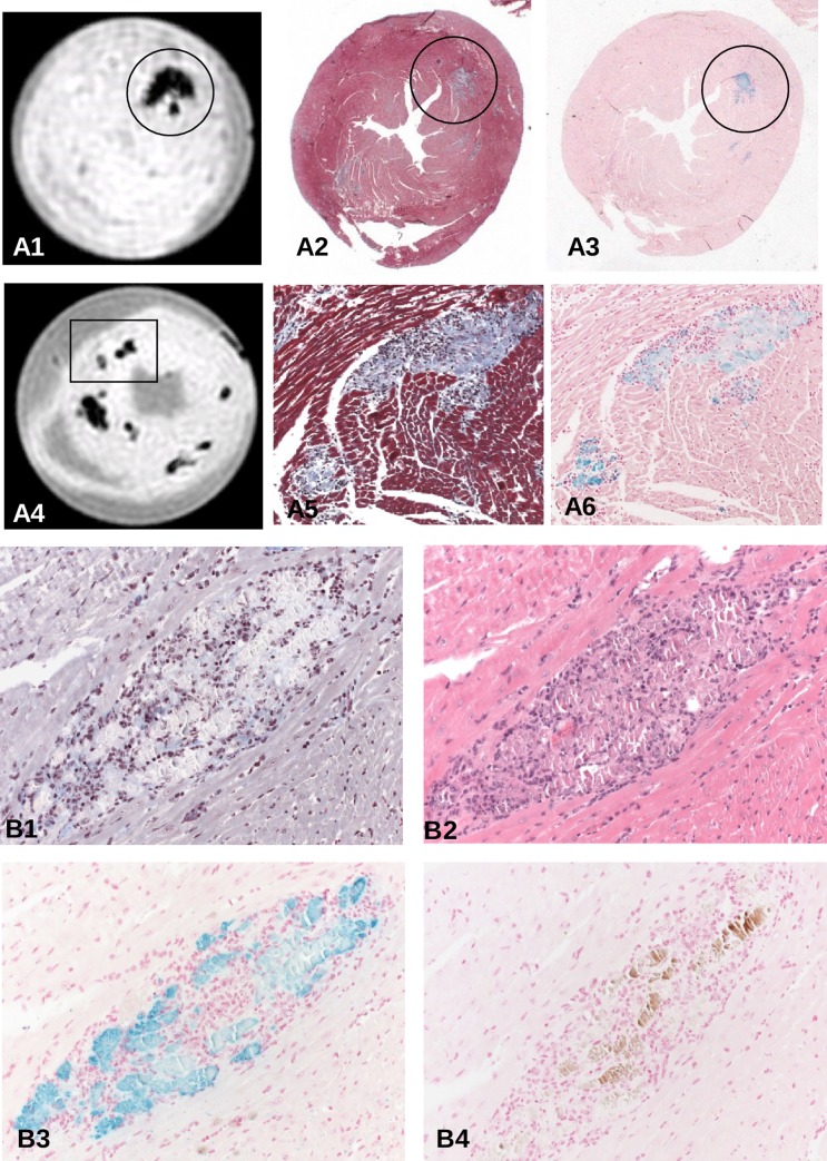 Fig 2