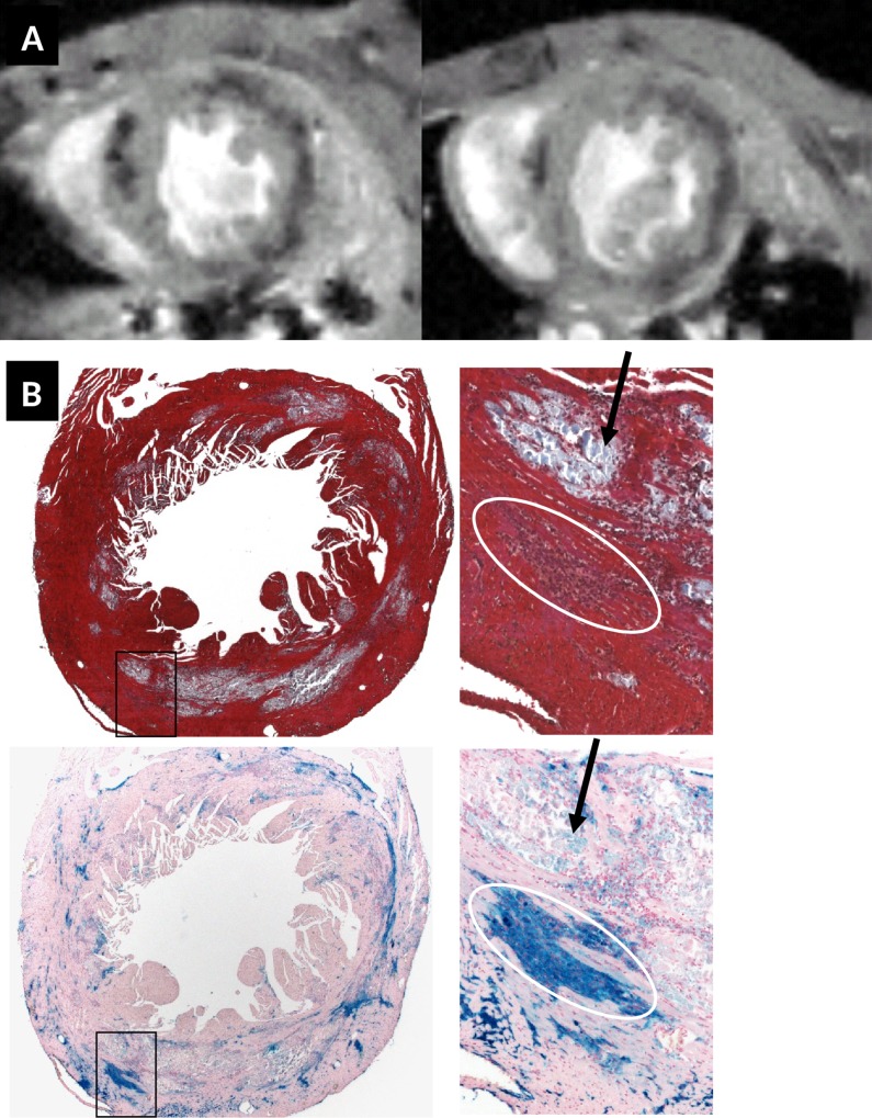 Fig 9