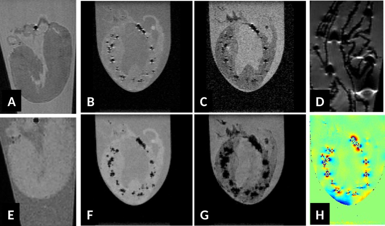 Fig 5