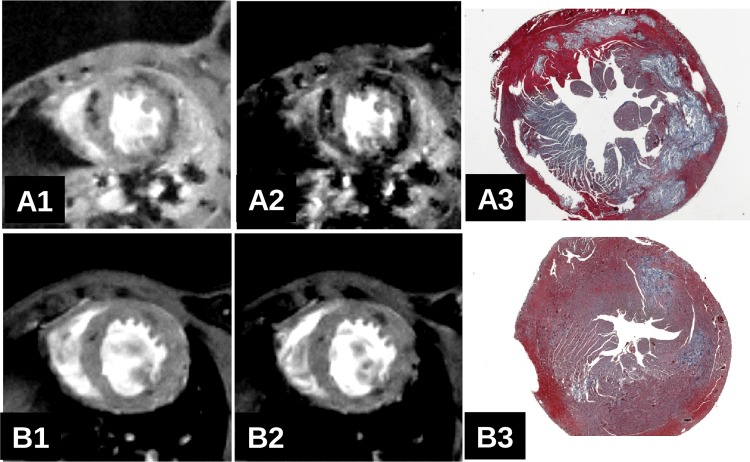 Fig 8