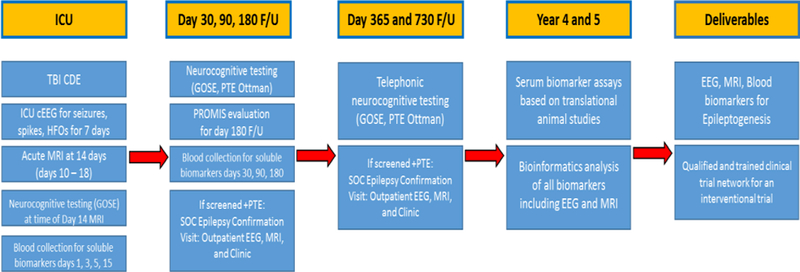 Figure 1: