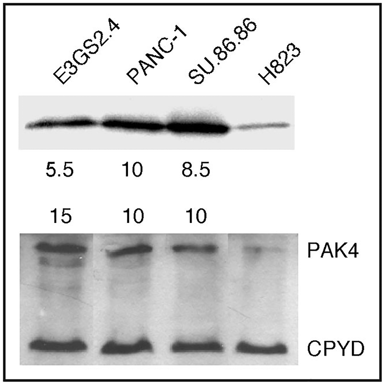 Figure 5.