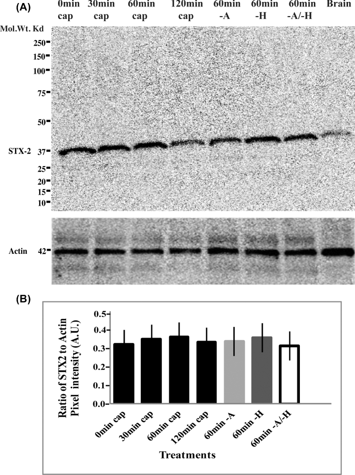 Figure 7.