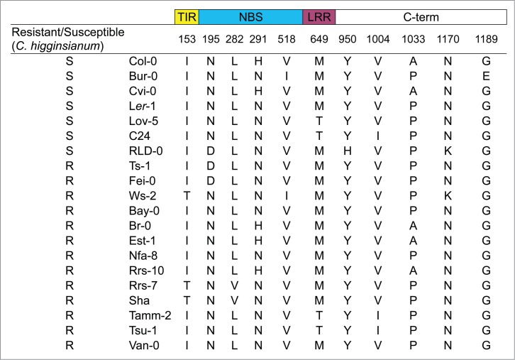 Figure 5.