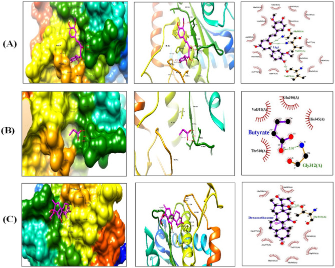 Figure 12