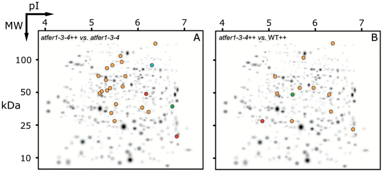 Fig. 3.