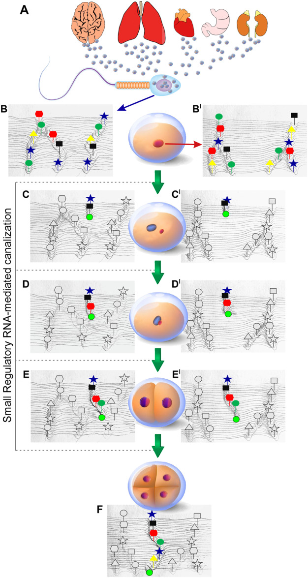 Figure 1: