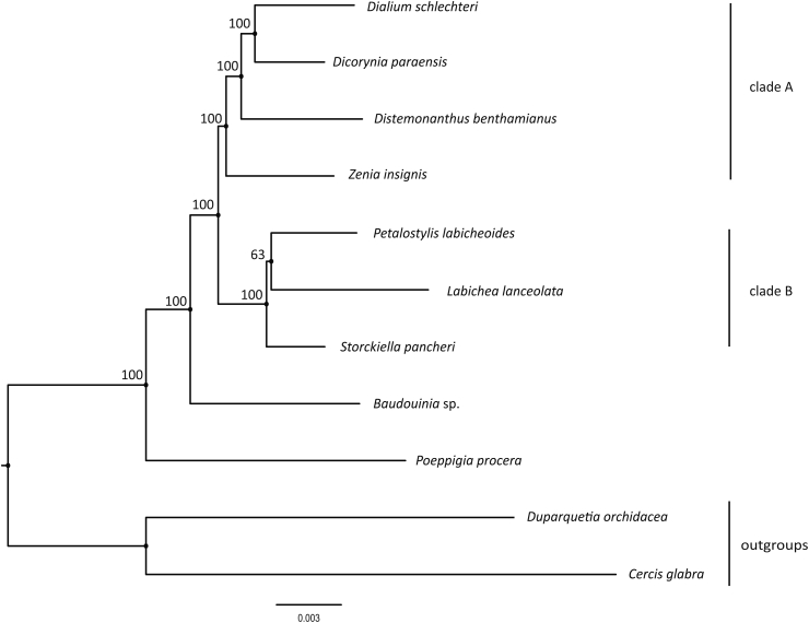 Fig. 5