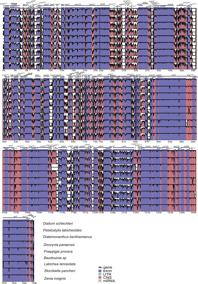 Fig. 4