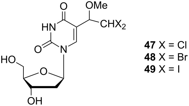 Figure 13