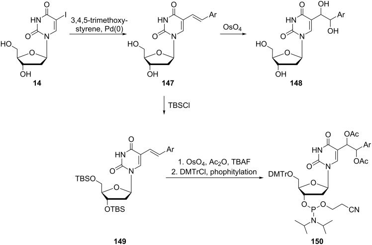 Scheme 25