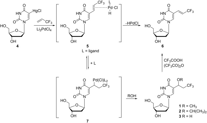 Scheme 1