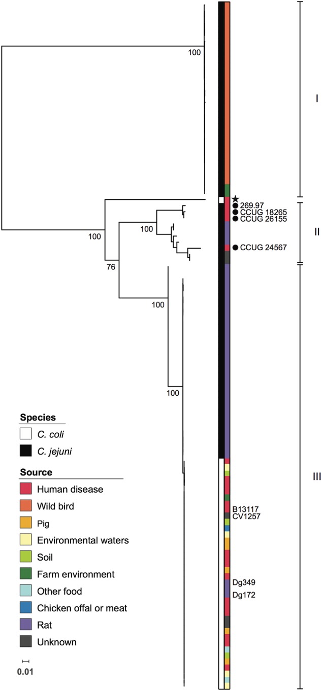 FIGURE 2