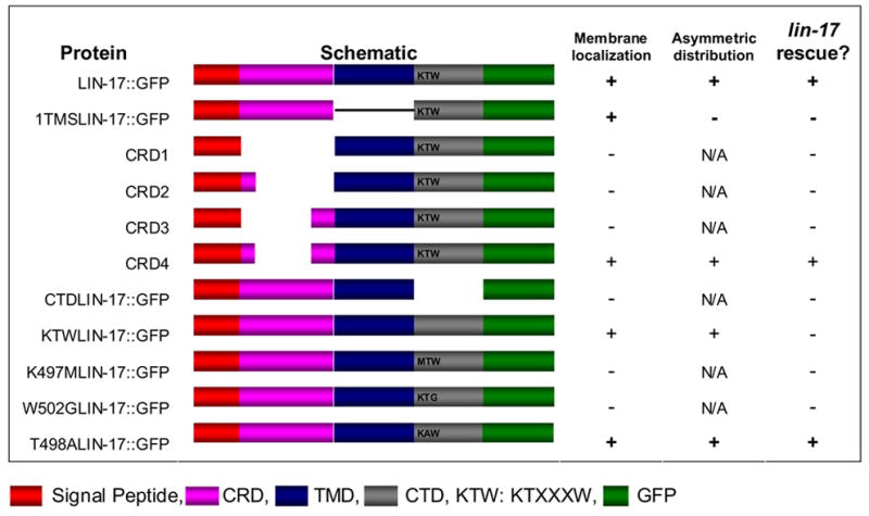 graphic file with name nihms19937f7.jpg