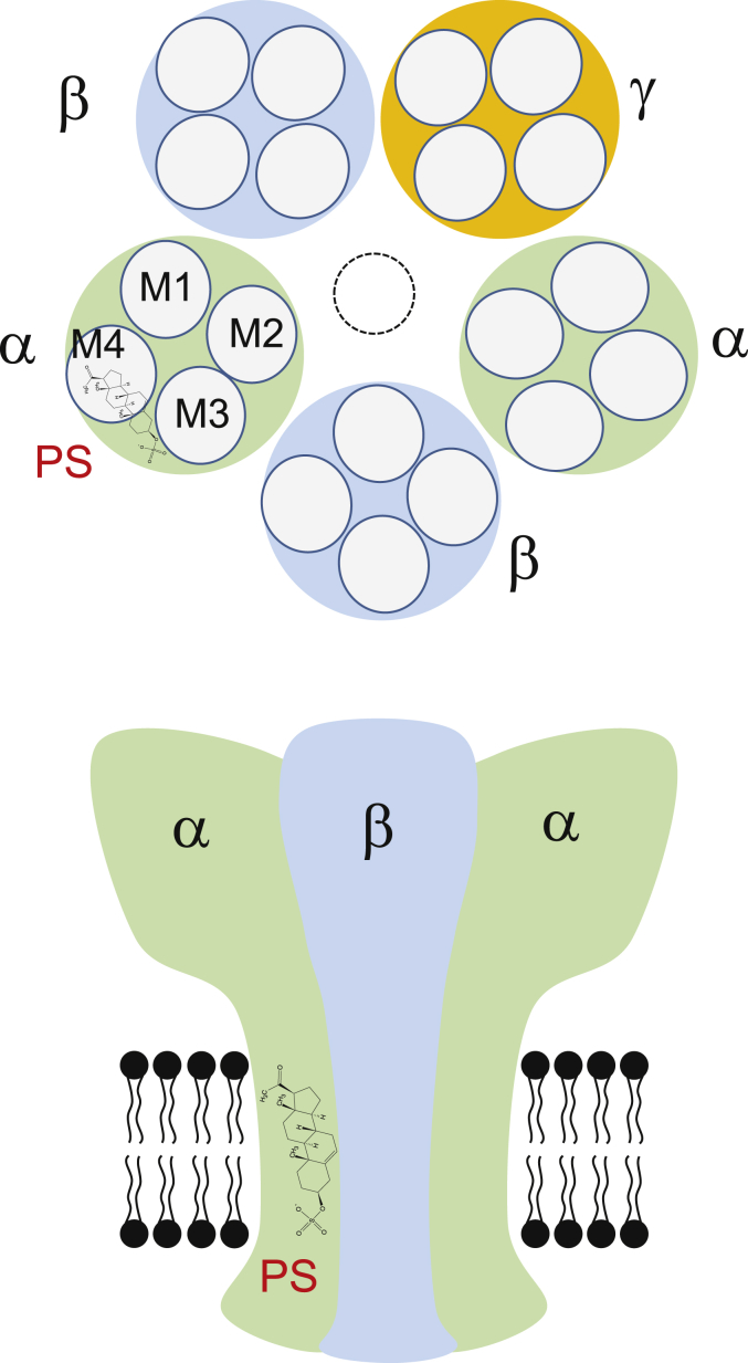 Fig. 9