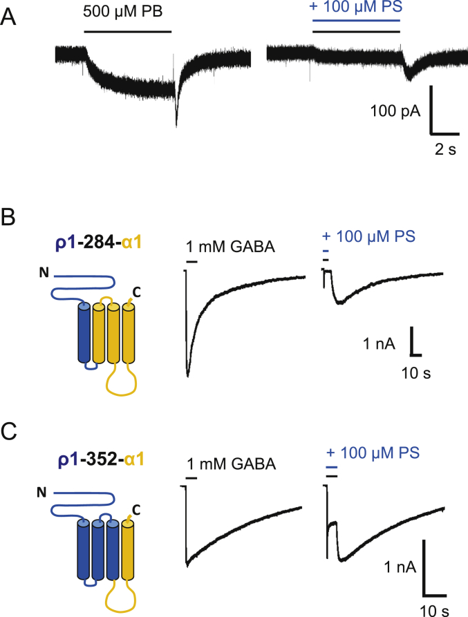 Fig. 6