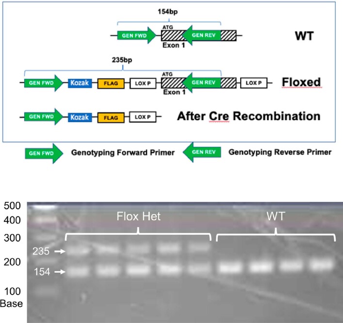 Extended Data Fig. 6