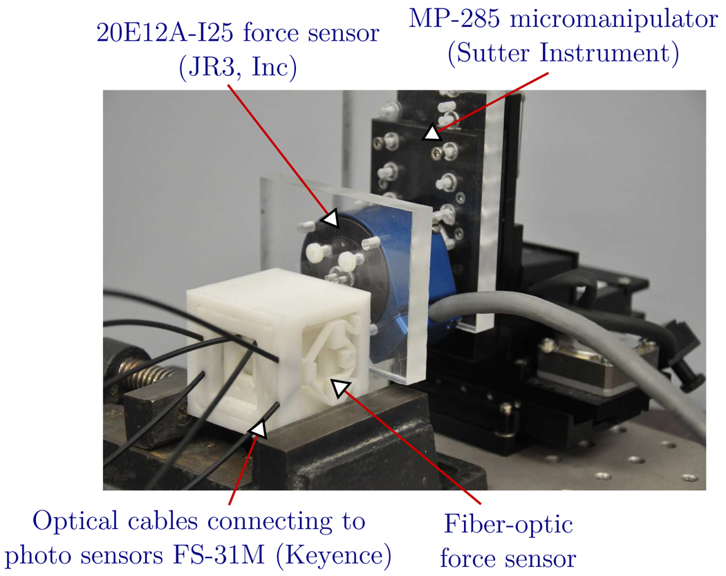 Fig. 12