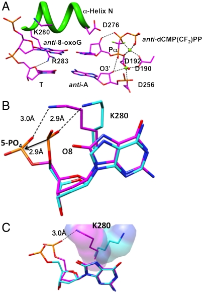 Fig. 4.