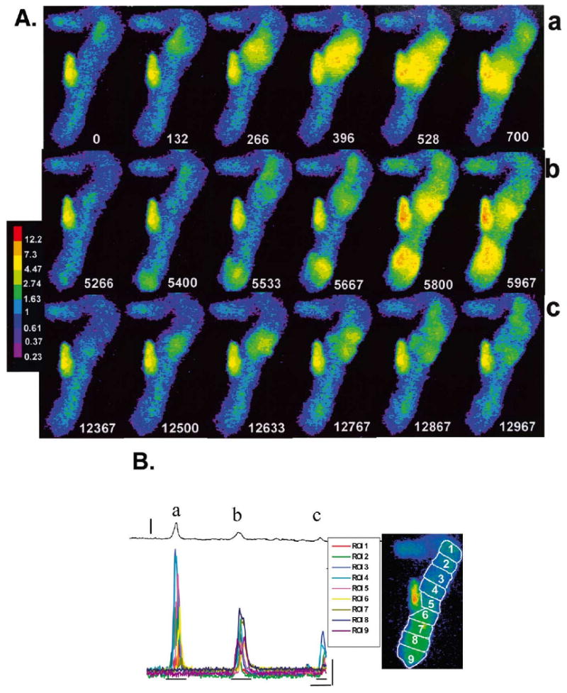 Fig. 6