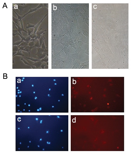 Fig.3